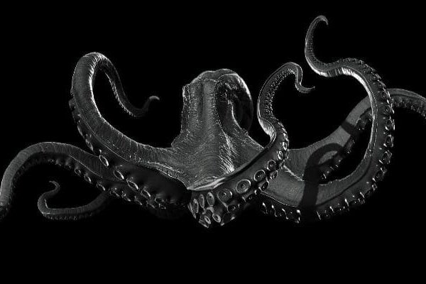 Ссылка для входа на сайт kraken