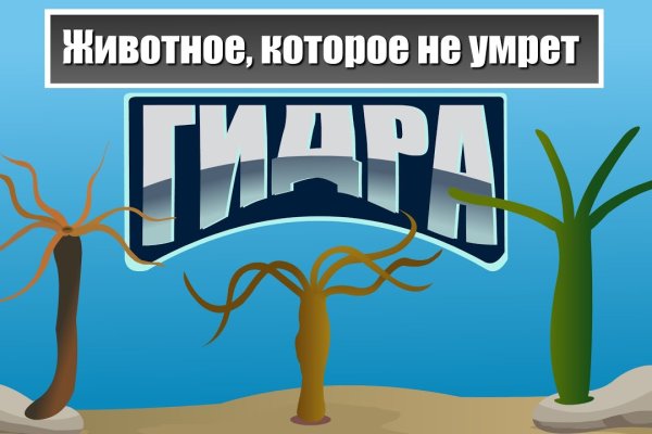 Пиратия кракен