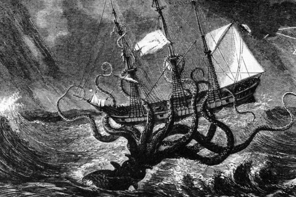 Kraken onion telegraph