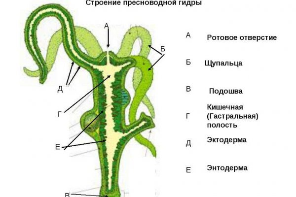 Новый сайт kraken