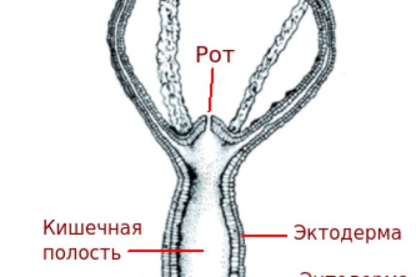 Kraken официальный сайт